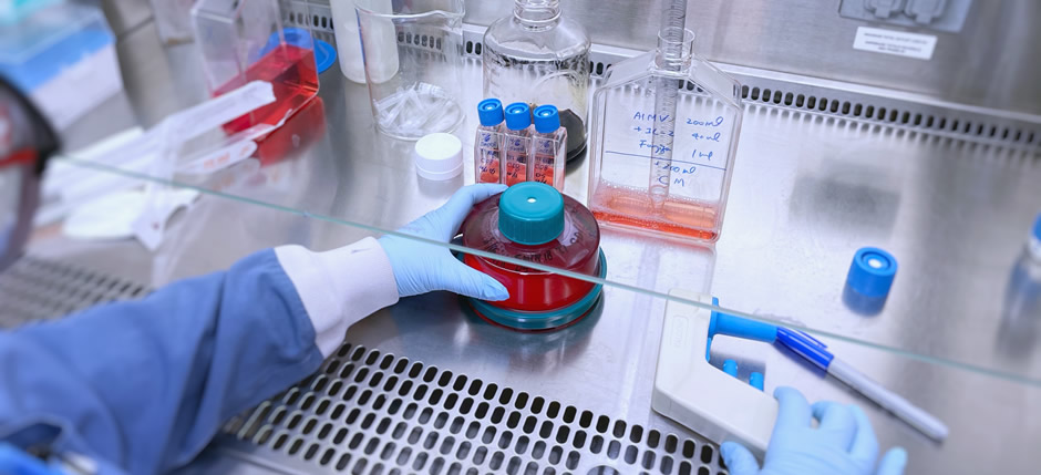 L’employé de Treadwell, Wenjing, s’occupe de l’expansion de lymphocytes infiltrant les tumeurs (TIL) dans le cadre de la R et D
