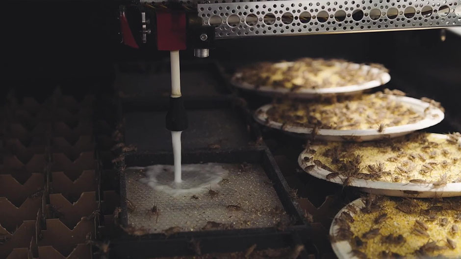 Aspire uses cutting-edge smart technology to take farming to new heights
